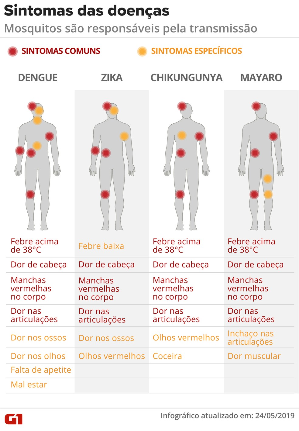 Sintomas de doenÃ§as transmitidas por mosquitos â?? Foto: Rodrigo Sanches e Diana Yukari/G1